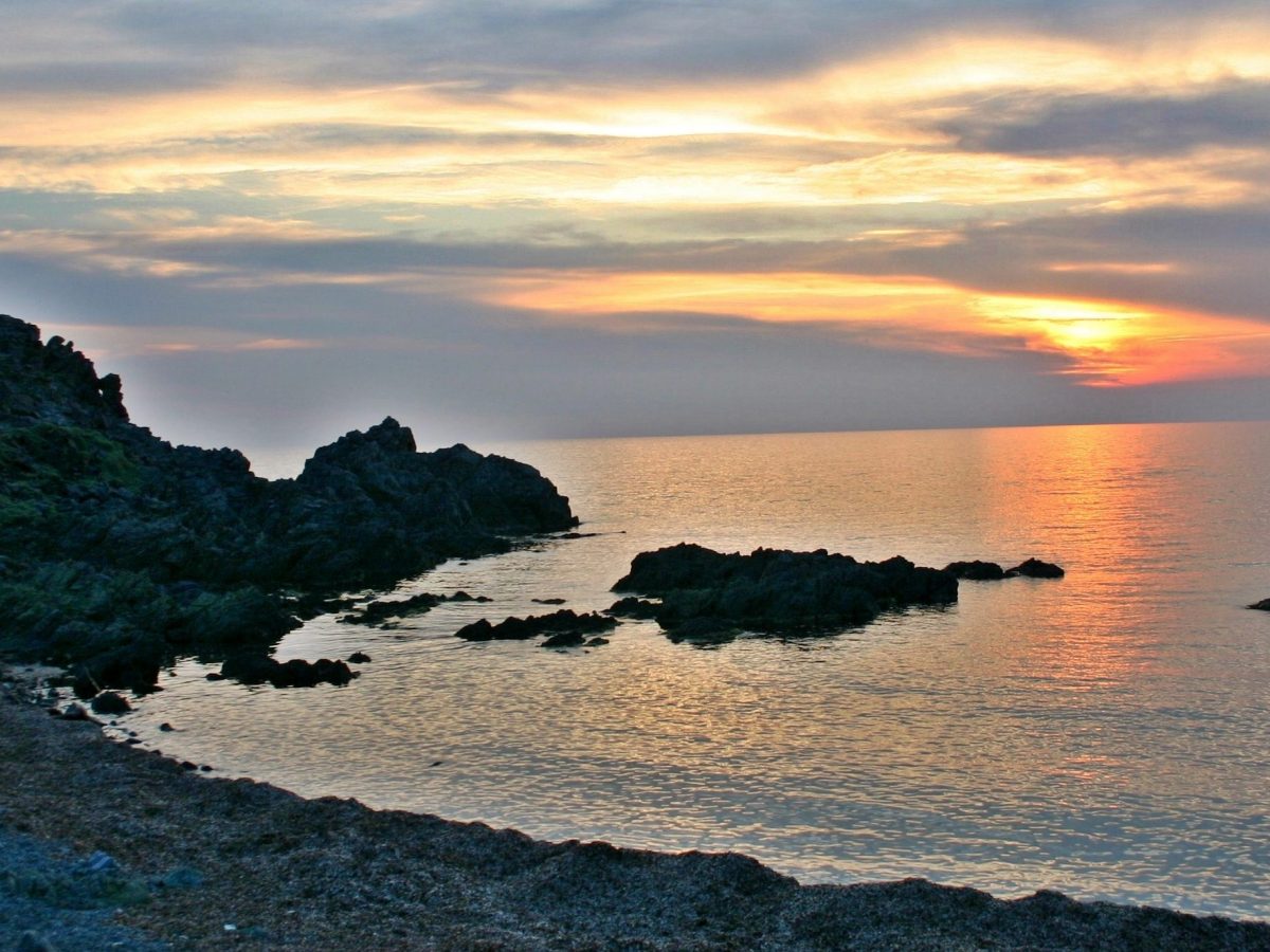 LE COMBAT POUR LA&nbsp;VÉRITÉ