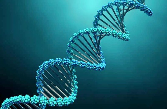 Acide désoxynucléique, le maître du vivant, capable de mutations, de duplications et de réparations